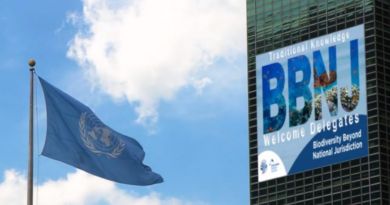 Global BBNJ Agreement to Protect Ocean Biodiversity in International Waters Enters into Force on 17 January 2026