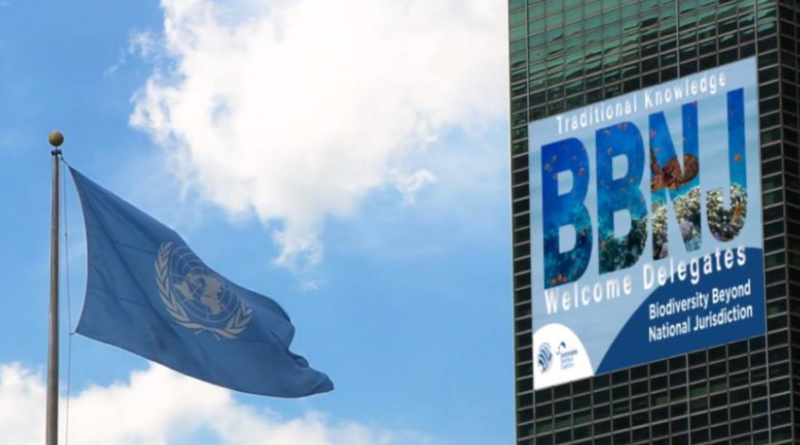 Global BBNJ Agreement to Protect Ocean Biodiversity in International Waters Enters into Force on 17 January 2026