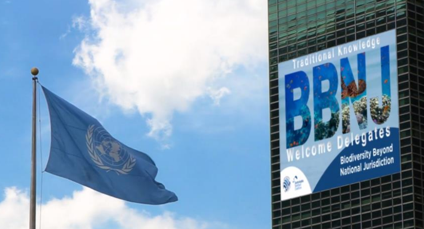 Global BBNJ Agreement to Protect Ocean Biodiversity in International Waters Enters into Force on 17 January 2026