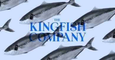 Kingfish Company Enters Financing Talks as Q4 Revenue Growth Moderates