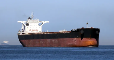 Engine Room Fire on Singapore-Registered Bulk Carrier MANDY Leaves Two Crew Members Dead