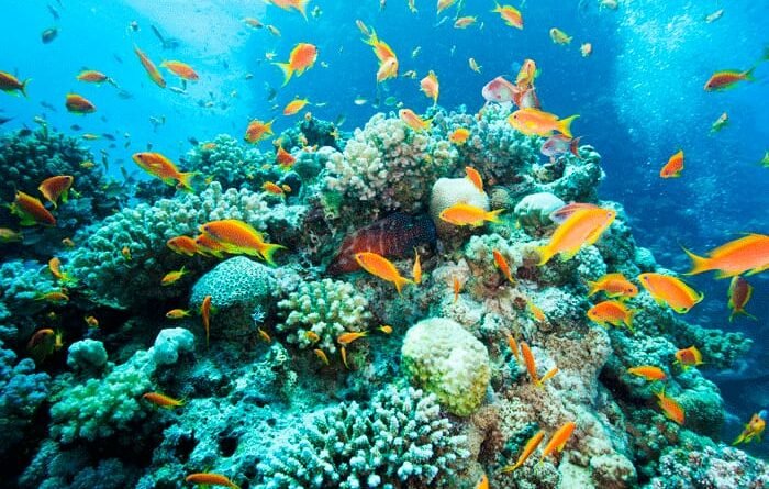 Pakistan Secures $3 Million GEF Funding to Boost Marine Biodiversity and Sustainable Fisheries