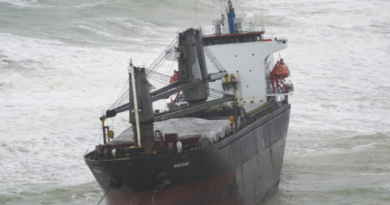 Comoros-Flagged Cargo Ship Grounded Off Bosphorus, Istanbul