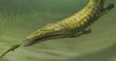 Ancient Fossils from Western Australia Reveal Globe-Trotting ‘Sea Monsters’ That Roamed 250 Million Years Ago