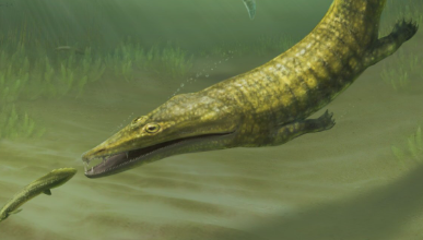 Ancient Fossils from Western Australia Reveal Globe-Trotting ‘Sea Monsters’ That Roamed 250 Million Years Ago