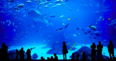 Junaid Anwar Chaudhry Urges Inclusion of Ocean Awareness in National Education Curriculum