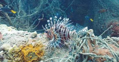 Unauthorised Salvage Operation at Gaddani: A Serious Threat to National Underwater Heritage and Marine Biodiversity