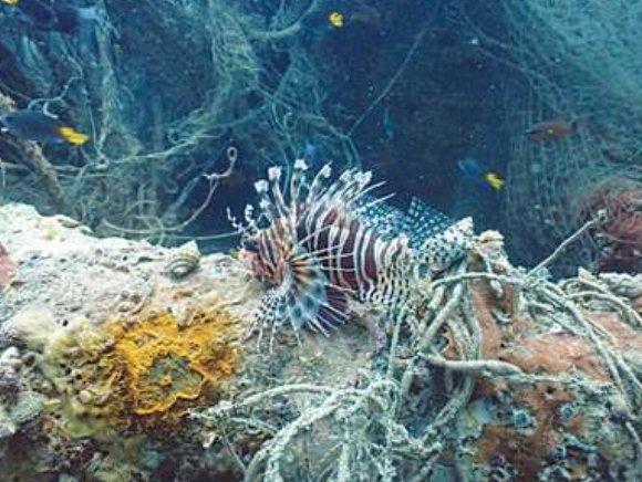 Unauthorised Salvage Operation at Gaddani: A Serious Threat to National Underwater Heritage and Marine Biodiversity