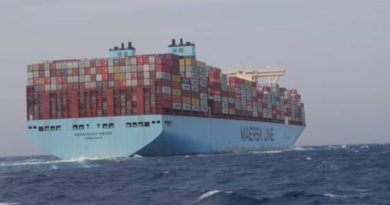 Strait of Hormuz Shipping Crisis Disrupts Gulf Container Trade as Global Carriers Suspend Services and U.S. Announces $20 Billion Maritime Insurance Support