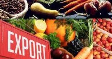 Pakistan Plans Food Exports to Gulf States via Maritime Routes as Regional Supply Chains Face Disruption