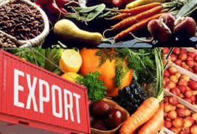 Pakistan Plans Food Exports to Gulf States via Maritime Routes as Regional Supply Chains Face Disruption