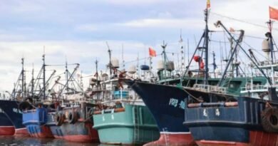 South Africa Fines Four Chinese Fishing Vessels for EEZ Violation and Suspicious AIS Activity