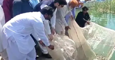 Keenjhar Lake Conservation Drive: 70,000 Fish Seedlings Released to Boost Aquatic Biodiversity in Thatta