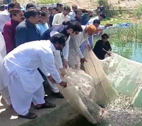 Keenjhar Lake Conservation Drive: 70,000 Fish Seedlings Released to Boost Aquatic Biodiversity in Thatta