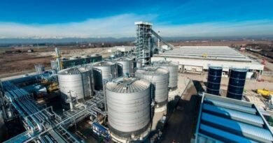 Methanol, Ethanol, and Biofuels: Steering the Maritime Industry toward Energy Resilience