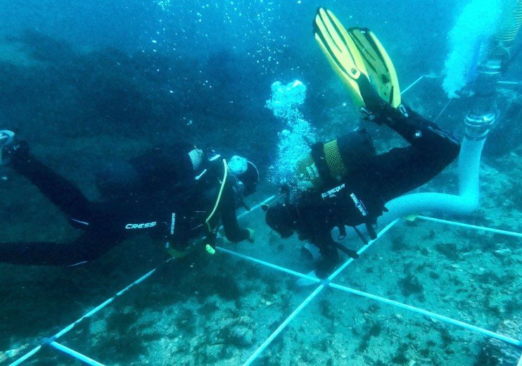 Archaeologists Discover Centuries-Old Shipwrecks in Bay of Gibraltar