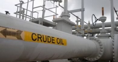 China Crude Oil Imports, Iran War Impact, LNG Imports Decline, Strait of Hormuz Disruptions Shape Global Energy Market