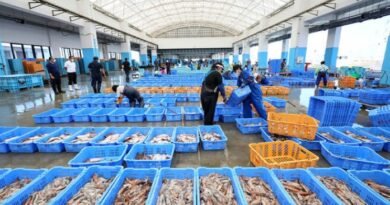 Fish market with blue baskets