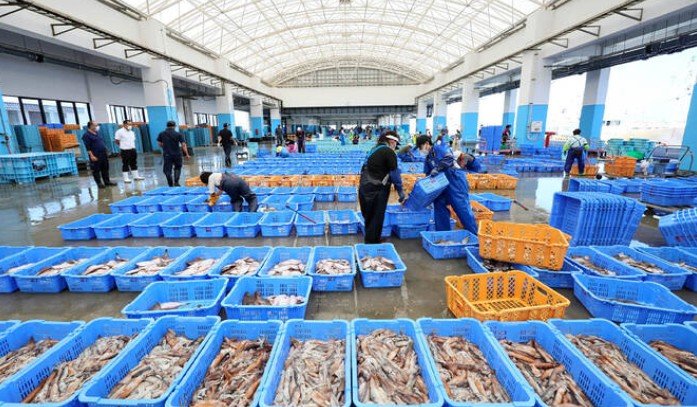 Fish market with blue baskets