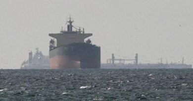 US Considers Strait of Hormuz Tolls after Iran Conflict, Raising Global Shipping Concerns
