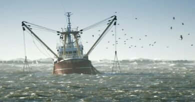 North Pacific Fisheries Commission Strengthens Global Fisheries Governance, Labor Rights, and Anti-IUU Fishing Measures