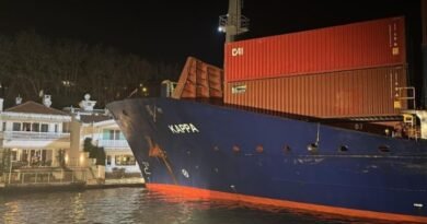 Bosporus Shipping Incident: Cargo Vessel Nearly Collides with Istanbul Waterfront Mansions After Steering Failure