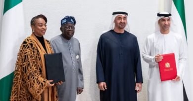 UAE Nigeria Trade Routes, Global Supply Chain Logistics, Maritime Trade Corridor, Trade Surplus Nigeria