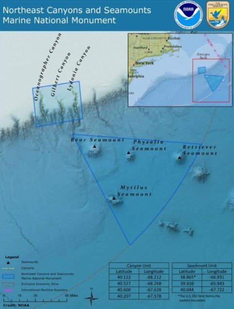 US Maritime Policy Shift: NOAA Reopens Northeast Canyons Marine Monument to Commercial Fishing Industry