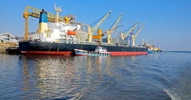 Cargo ships docked at port
