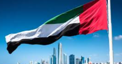 UAE Highlights Maritime Security Threats in Strait of Hormuz During Virtual FMS Meeting