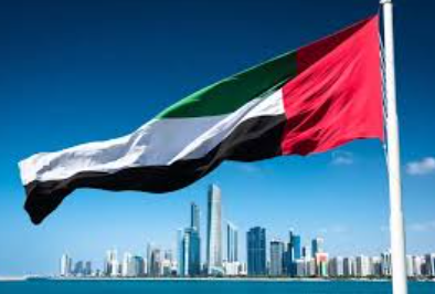 UAE Highlights Maritime Security Threats in Strait of Hormuz During Virtual FMS Meeting