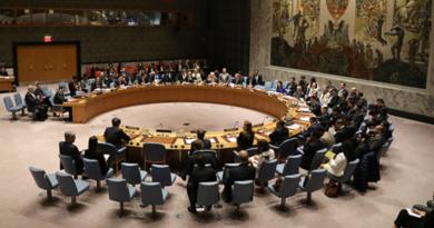 UN Security Council to Vote on Strait of Hormuz Shipping Protection amid Rising Tensions