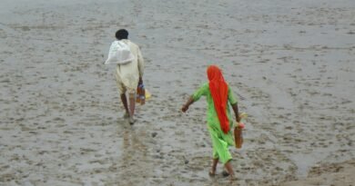 The Invisible Anchor: Women, the Maritime Economy, and Pakistan's Unredeemed Promise