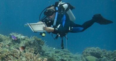 Caribbean Coral Reefs Left Exposed as Climate Change Threatens Natural Coastal Defense Systems