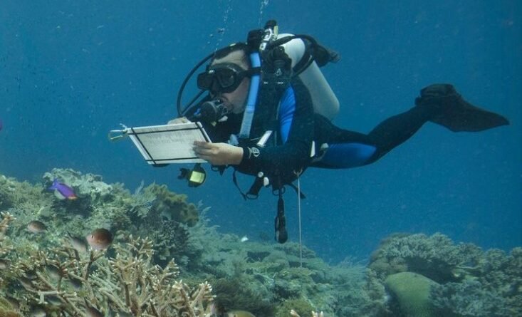 Caribbean Coral Reefs Left Exposed as Climate Change Threatens Natural Coastal Defense Systems