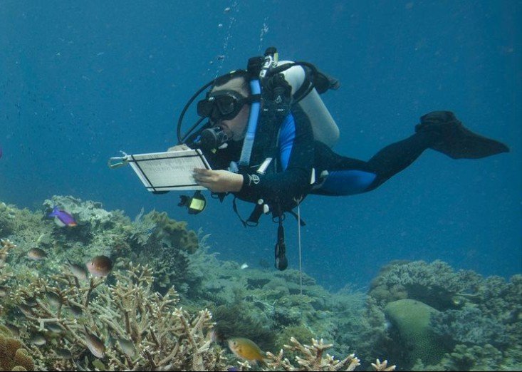 Caribbean Coral Reefs Left Exposed as Climate Change Threatens Natural Coastal Defense Systems