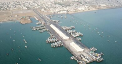Gwadar Port achieves major milestone with handling of 53,000 MT vessel: Junaid Anwar Chaudhry