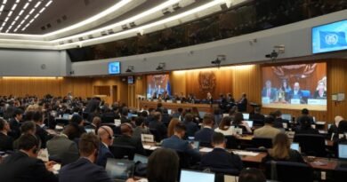 IMO Approves Landmark Guidelines to Combat Maritime Fraud and Flag Misuse in Global Shipping