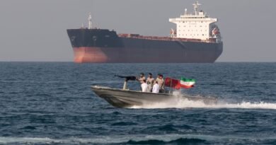 IMO Resolution on Iran Shipping Attacks: UAE Warns of Marine Pollution Risk in Arabian Gulf & Global Trade Routes