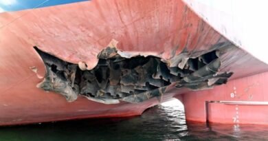 South Korea Launches Probe into Ship Debris from Strait of Hormuz Attack