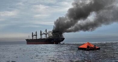 Strait of Hormuz Attack: Bulk Carrier Targeted by Small Craft | Maritime Security & Oil Trade Risk