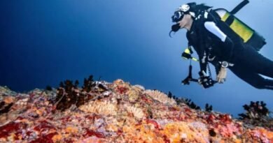 5 Italian Divers Killed in Maldives Deep Cave Diving Tragedy as Massive Search Operation Continues