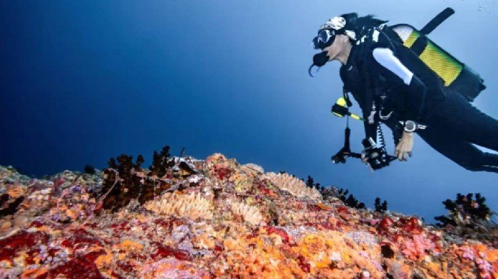 5 Italian Divers Killed in Maldives Deep Cave Diving Tragedy as Massive Search Operation Continues