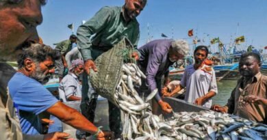 Pakistan’s Fish and Seafood Exports Surpass $500 Million for the First Time: Junaid Anwar Chaudhry