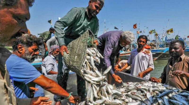 Pakistan’s Fish and Seafood Exports Surpass $500 Million for the First Time: Junaid Anwar Chaudhry