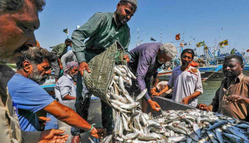 Pakistan’s Fish and Seafood Exports Surpass $500 Million for the First Time: Junaid Anwar Chaudhry
