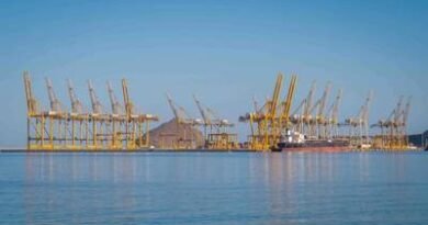 UAE Eastern Ports Emerge as Gulf Trade Lifeline amid Strait of Hormuz Crisis