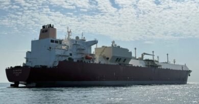 Second Qatari LNG Tanker Sails through Strait of Hormuz to Pakistan amid Iran Conflict Risks