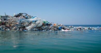 Maritime Minister Junaid Anwar Chaudhry Supports Marine Recycling and Sustainable Ocean Economy Initiatives