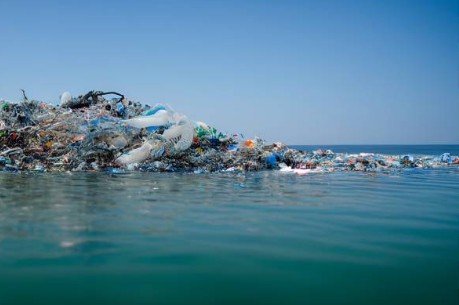 Maritime Minister Junaid Anwar Chaudhry Supports Marine Recycling and Sustainable Ocean Economy Initiatives
